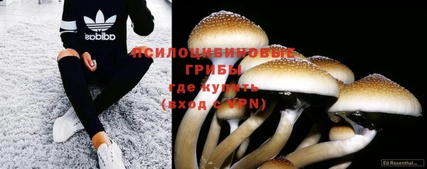 спайс Абаза