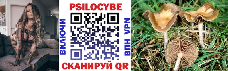 Псилоцибиновые грибы мухоморы  mega как зайти  Чебаркуль  магазин продажи  