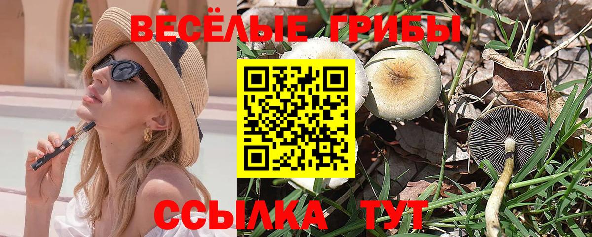 Галлюциногенные грибы MAGIC MUSHROOMS Чебаркуль