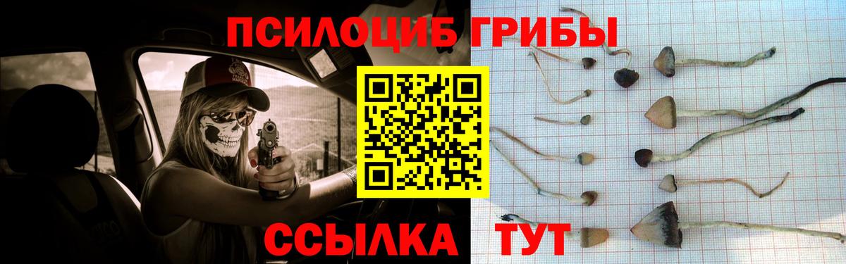 цена наркотик  Вход с VPN  Чебаркуль  Галлюциногенные грибы Psilocybe 